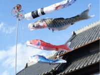 ���ʁ@���쌴�@������@�p��b�@�ʓs